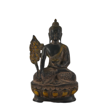 Buddha Medycyny 54